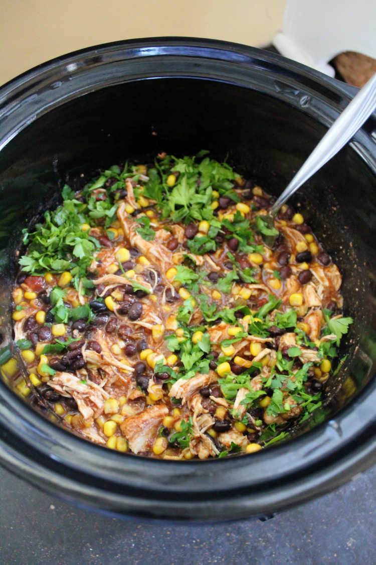 crock pot full of cooked shredded salsa chicken with black beans, corn and cilantro.