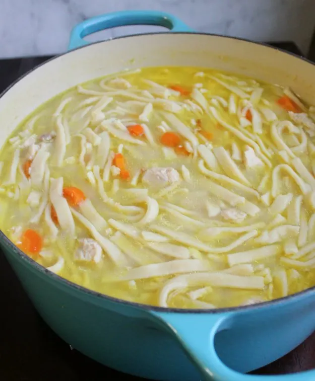dutch oven full of chicken and noodles.