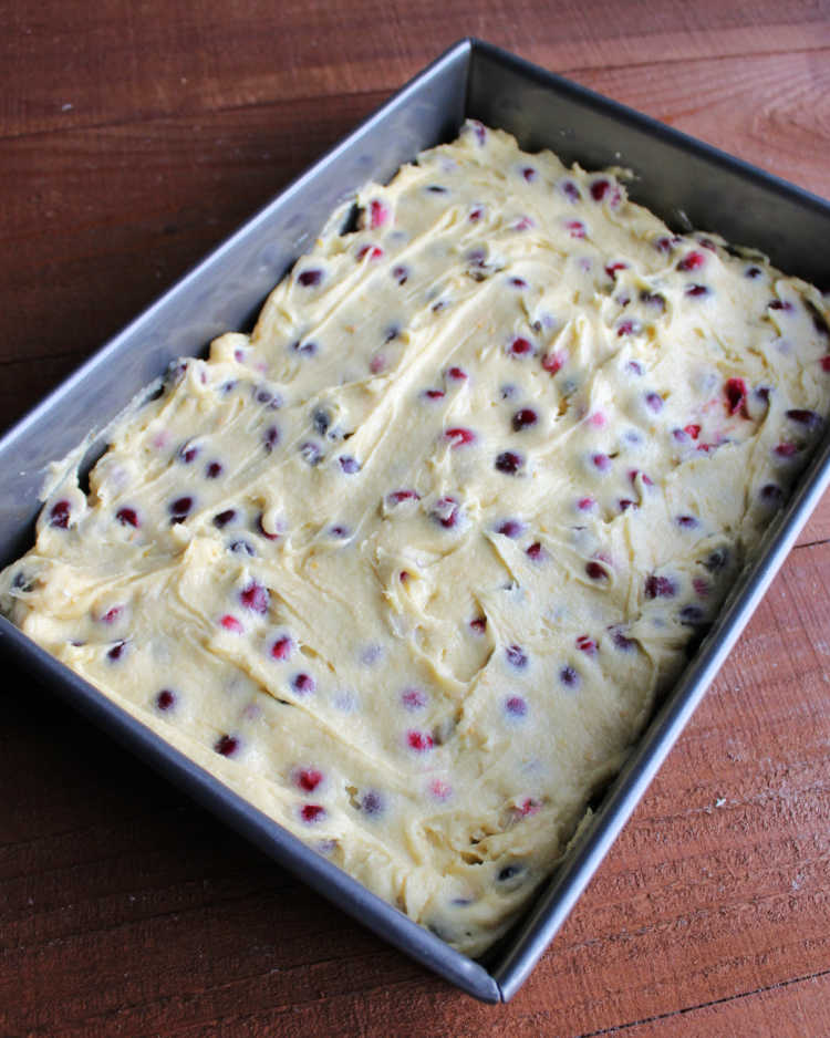 batter dotted with cranberries spread in pan ready to bake.