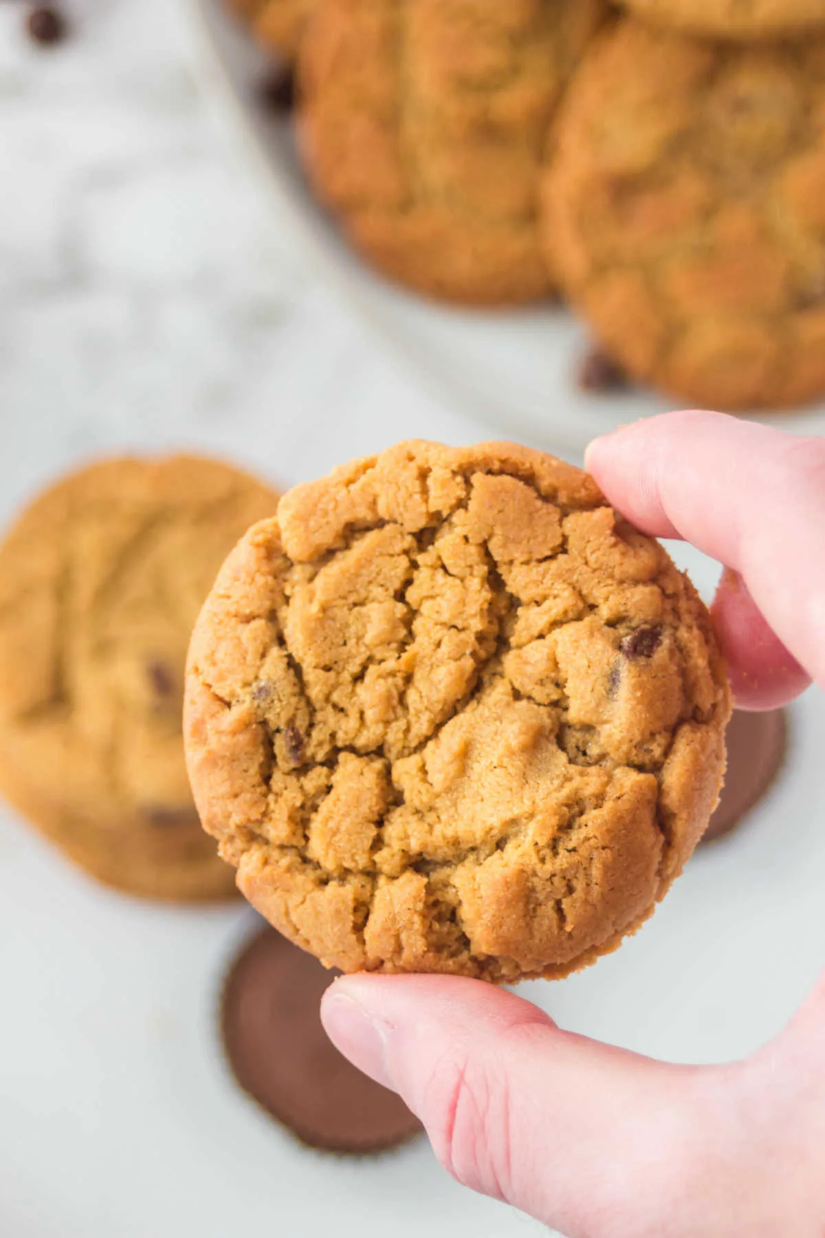 Hand holding chewy peanut butter cookies with chocolate chips.