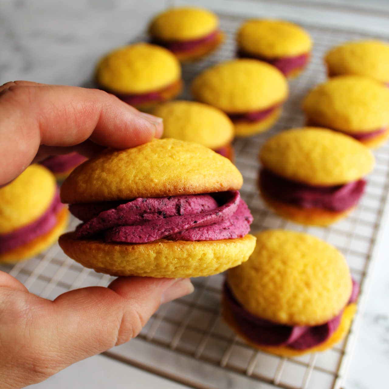 Hand holding lemon whoopie pie with rounded cakelike cookies sandwiched around blueberry filling.
