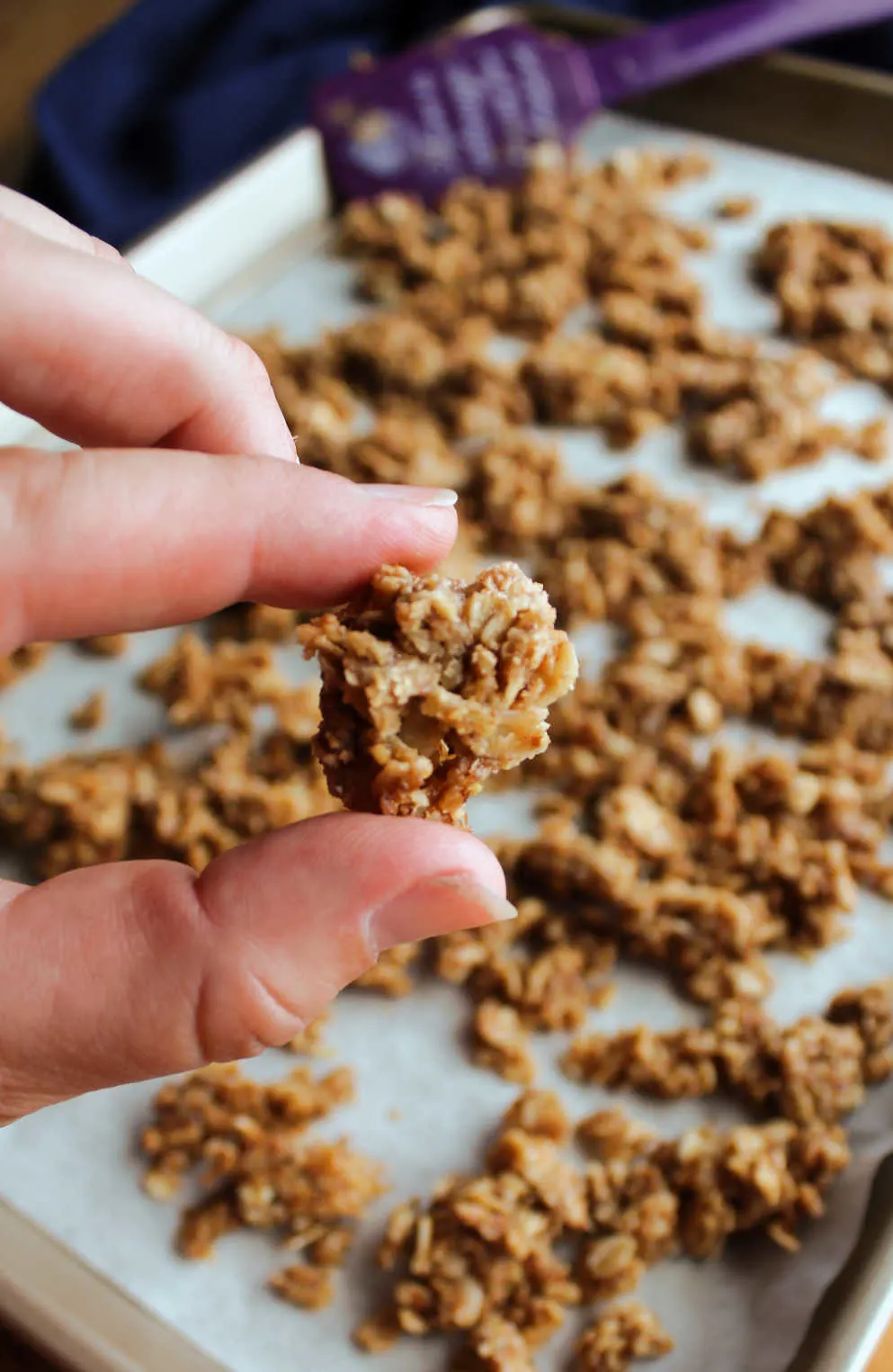 hand holding cluster of peanut butter granola.