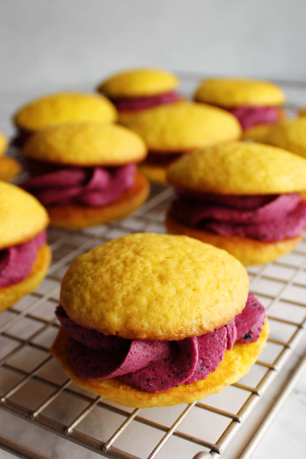 Yellow lemon whoopie pies with deep purple blueberry frosting piped between the layers.