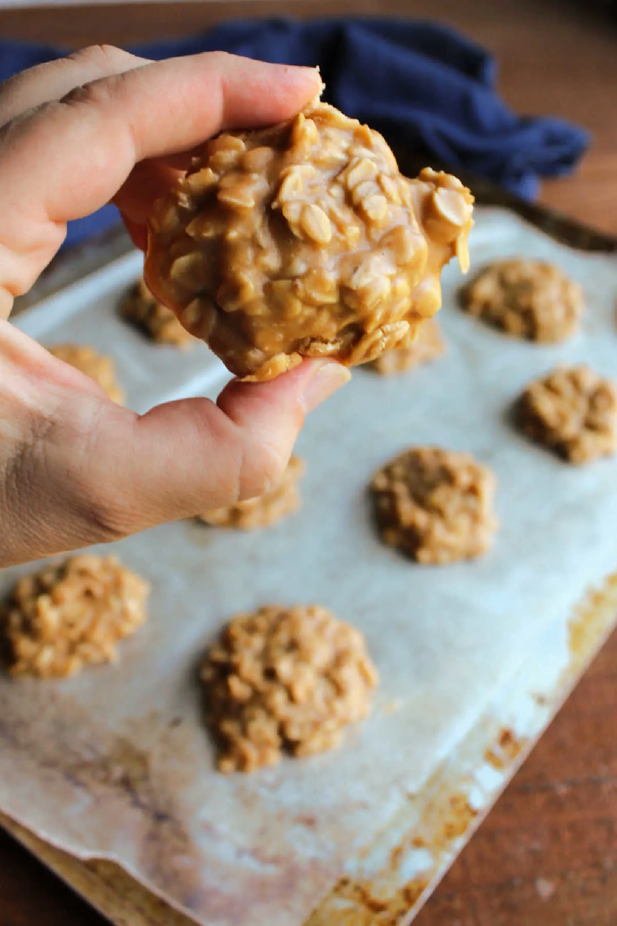 Hand holding peanut butter no bake cookie with oatmeal.