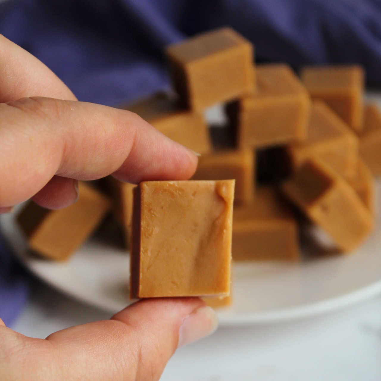 Hand holding square of peanut butter fudge.