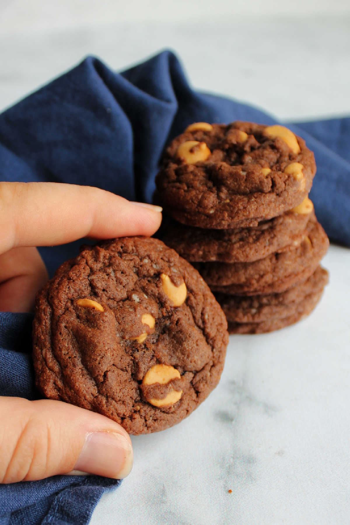 Hand holding soft chocolate cookie with peanut butter chips.