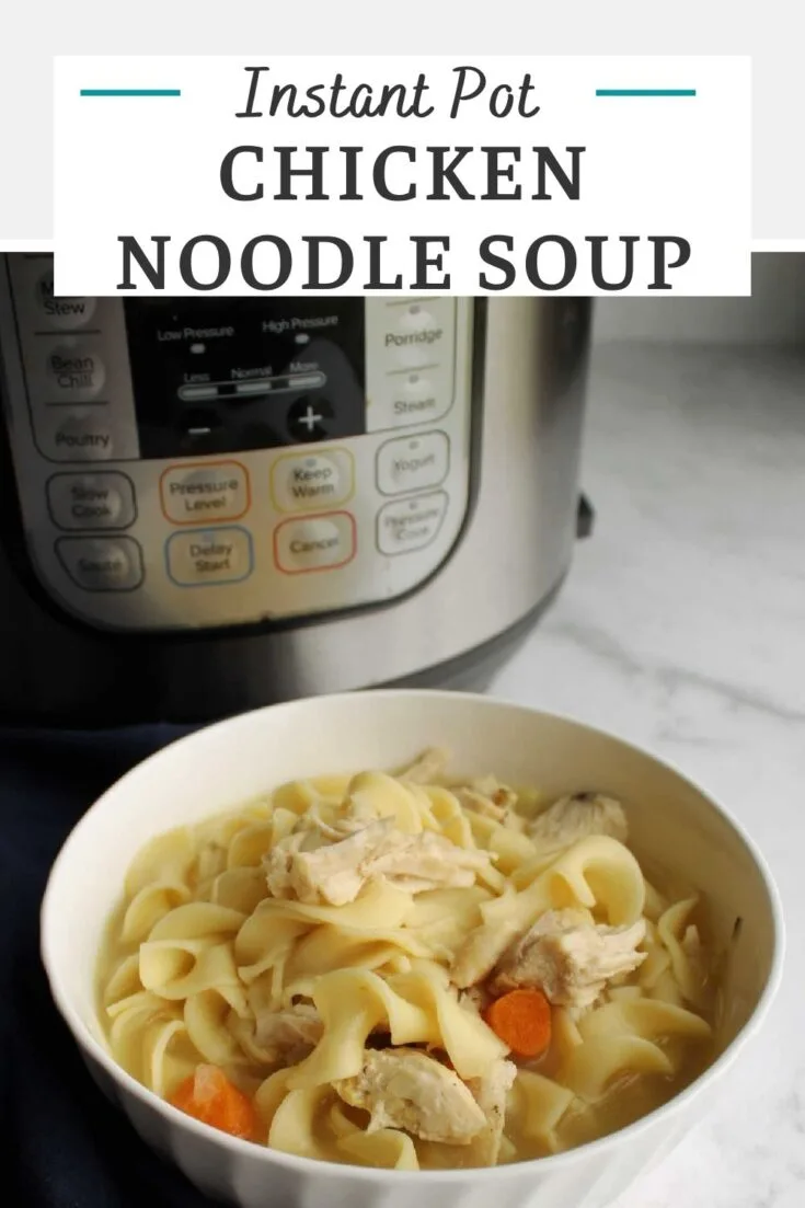 IP chicken noodle soup