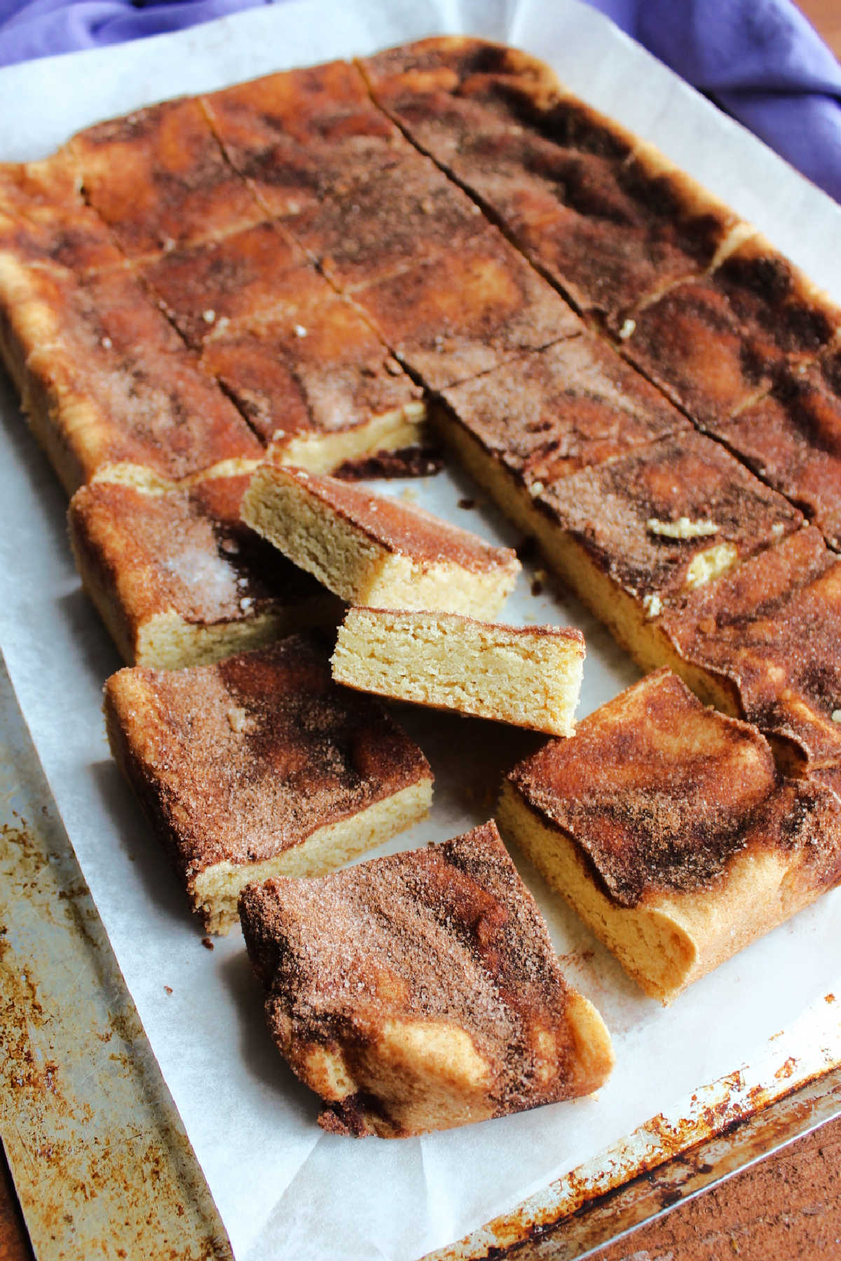 Cinnamon sugar topped snickerdoodle bars cut into squares. 