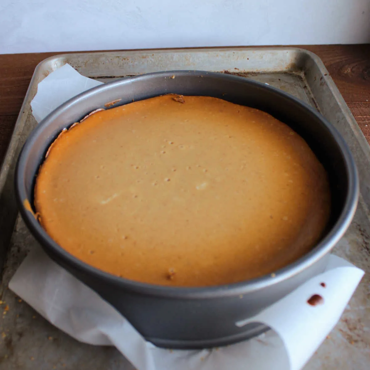 Golden brown apple butter cheesecake in springform pan fresh from the oven.