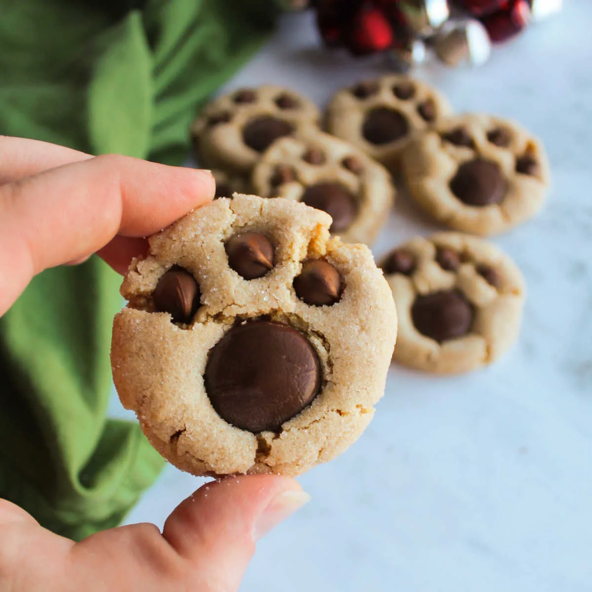 Hand holding peanut butter bear paw cookie with chocolate pieces making paw shape.