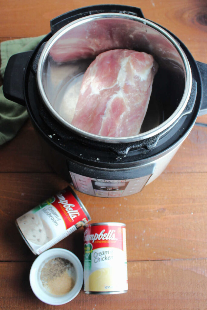 pork loin in slow cooker with cans of soup and bowl of seasonings nearby.