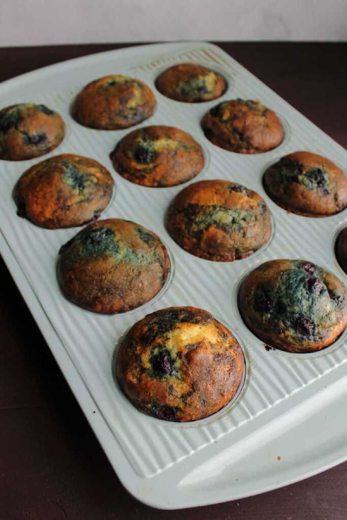 Freshly baked blueberry muffins in muffin tin.