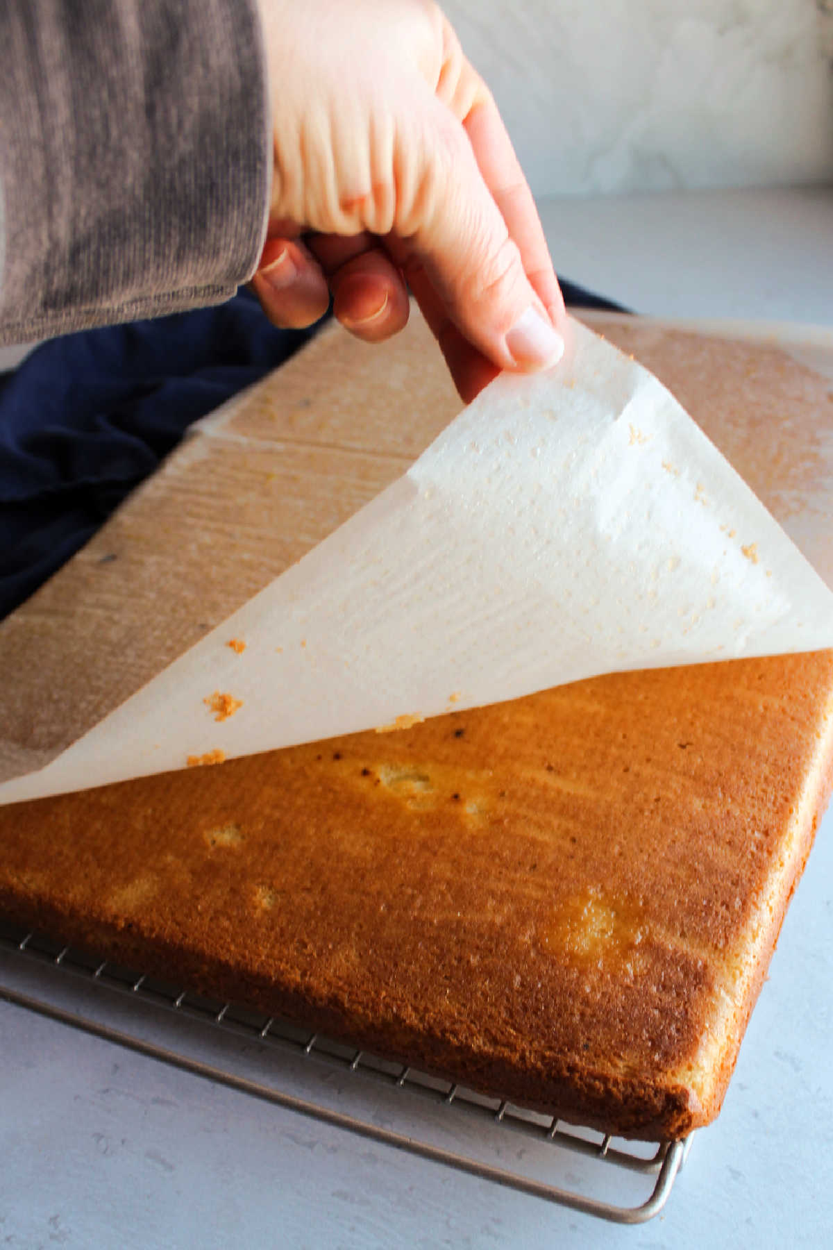 Peeling parchment paper off the bottom of the sheet of vanilla cake. 