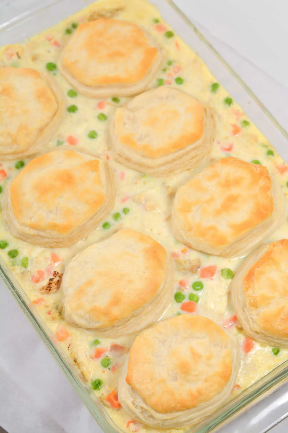 Creamy chicken pot pie mixture topped with golden brown biscuits fresh from the oven.