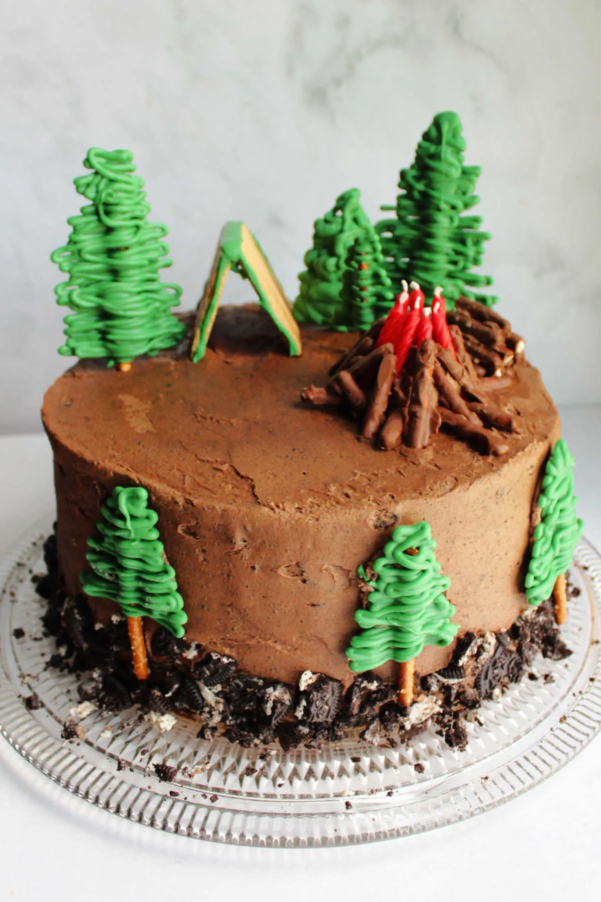 Round cake decorated in camping theme with chocolate oreo frosting, green chocolate trees, a graham cracker tent and chocolate dipped pretzel campfire.