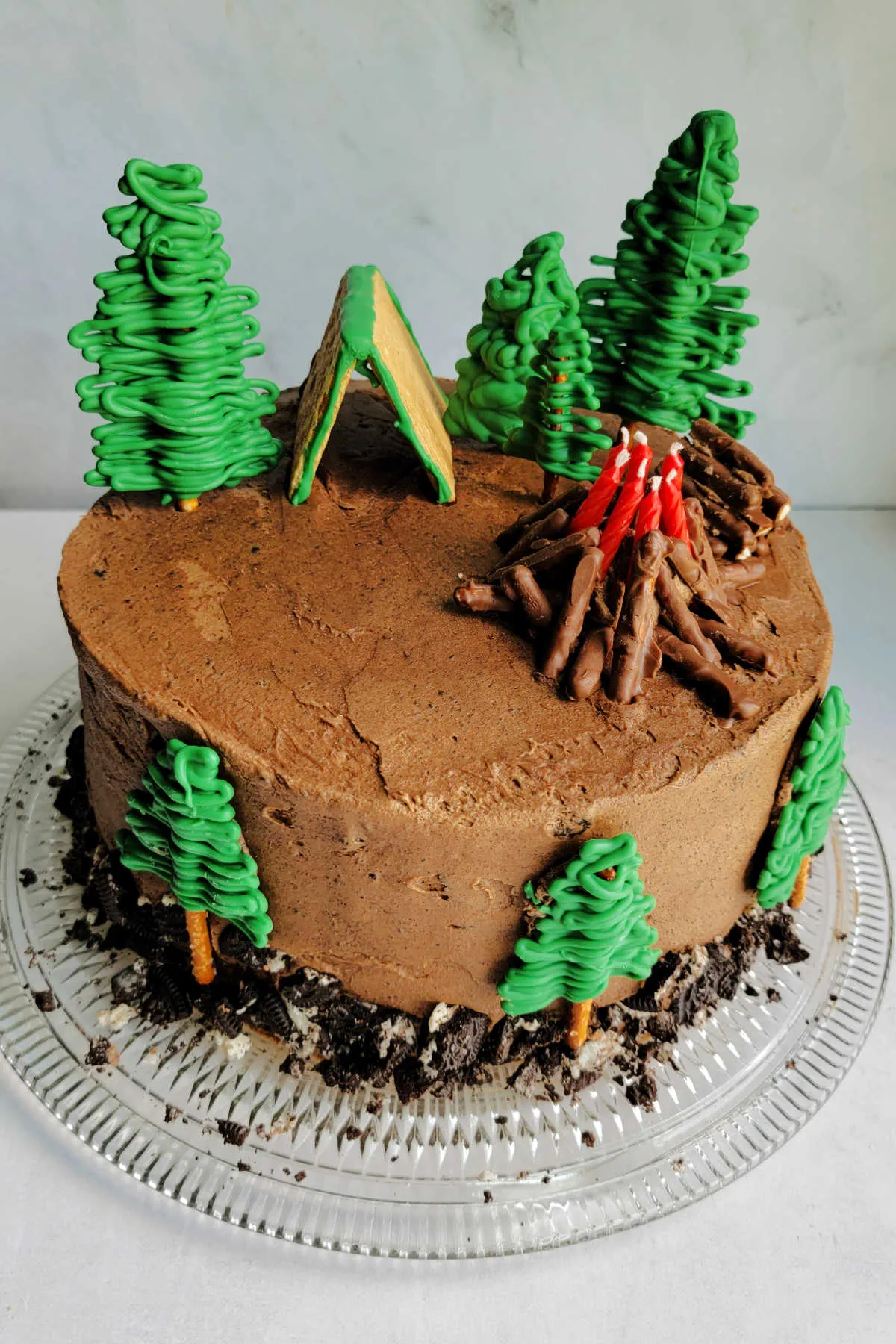 Looking down on camping cake with chocolate frosting, edible trees, a birthday candle bonfire and graham cracker tent.
