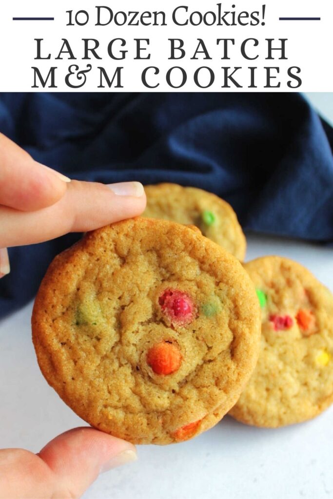 This M&M cookie recipe makes a ton of chewy cookies. They are perfect for parties, bake sales and more. If you don't need 10 dozen cookies, you can always freeze some cookies or dough for later too!