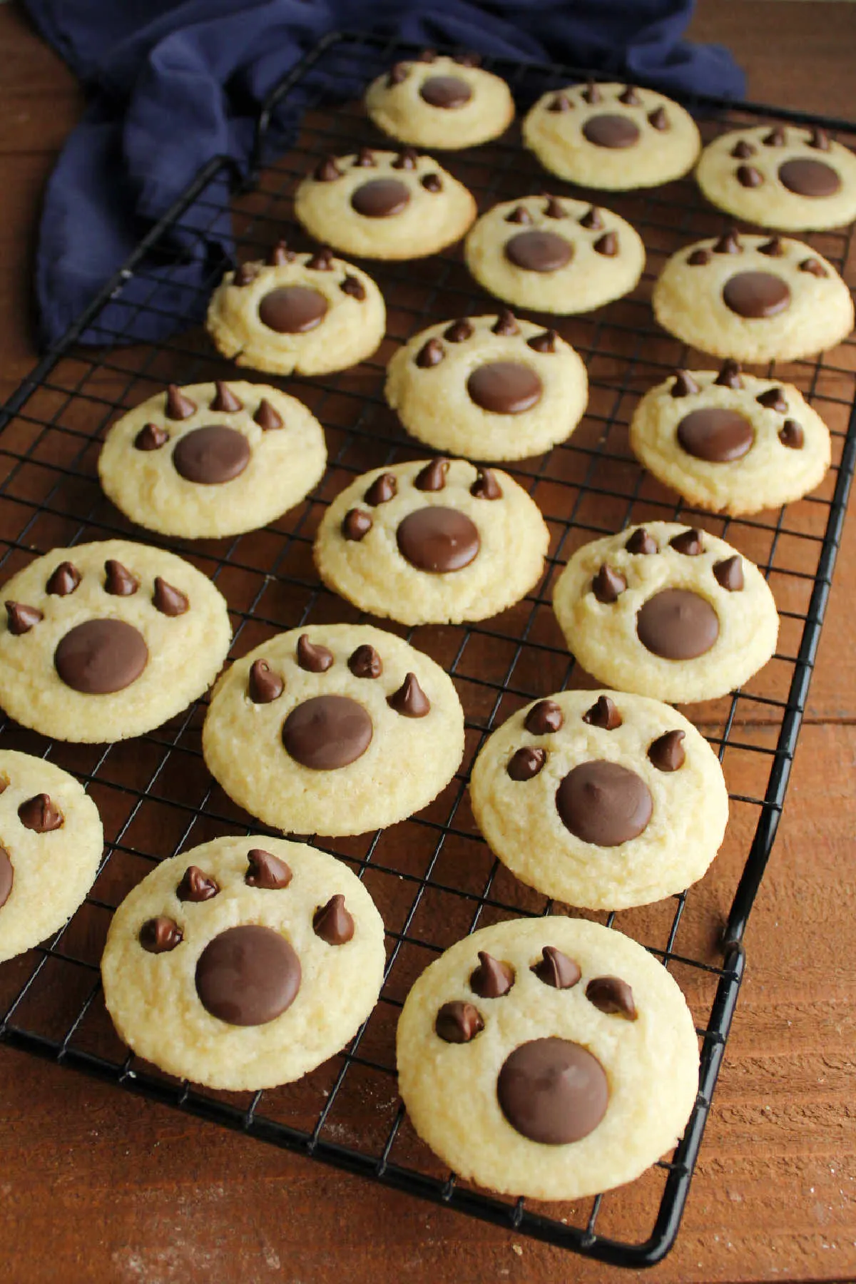 Paw print cookies on wire cooling rack.