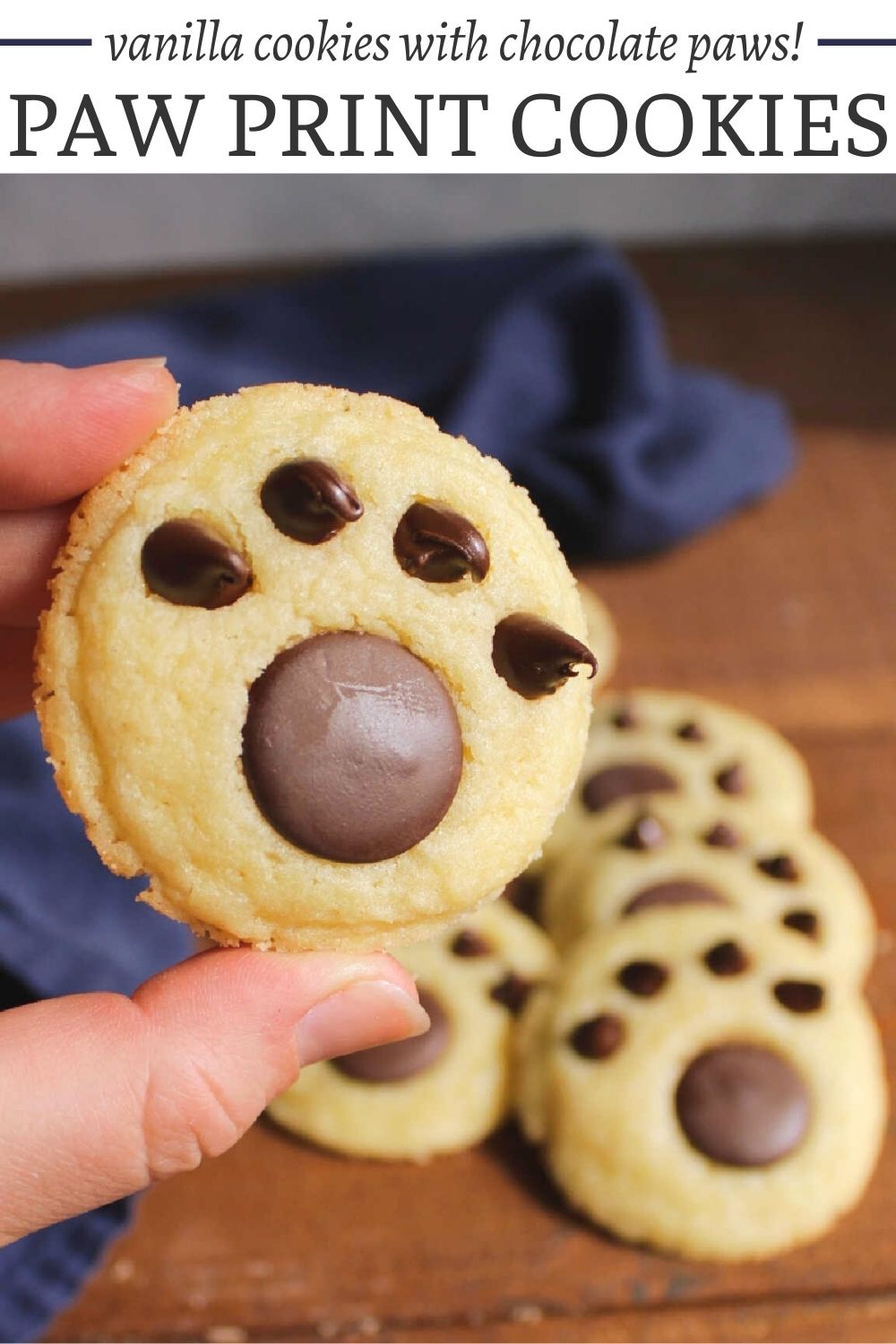 Vanilla paw print cookies are as tasty as they are cute. They are built on a melt in your mouth butter cookie with tasty chocolate paws on top.