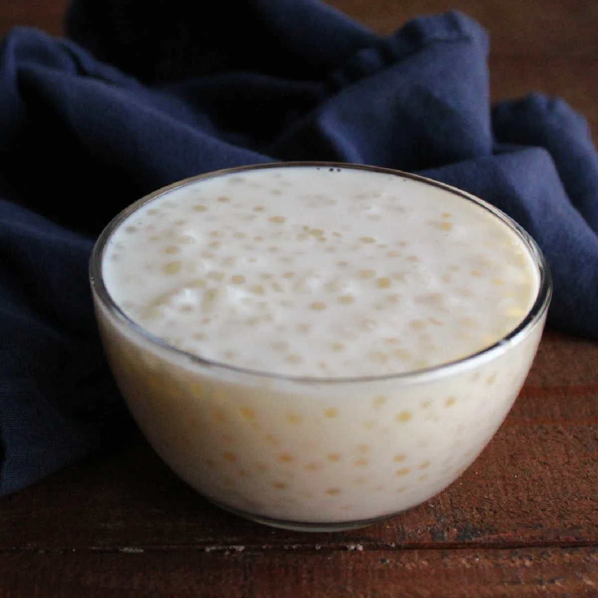 Close up of a small bowl of tapioca pudding, showing the creamy pudding with the soft pearls of tapioca.