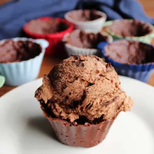 Fudgy chocolate ice cream cup topped with scoop of chocolate peanut butter ice cream.