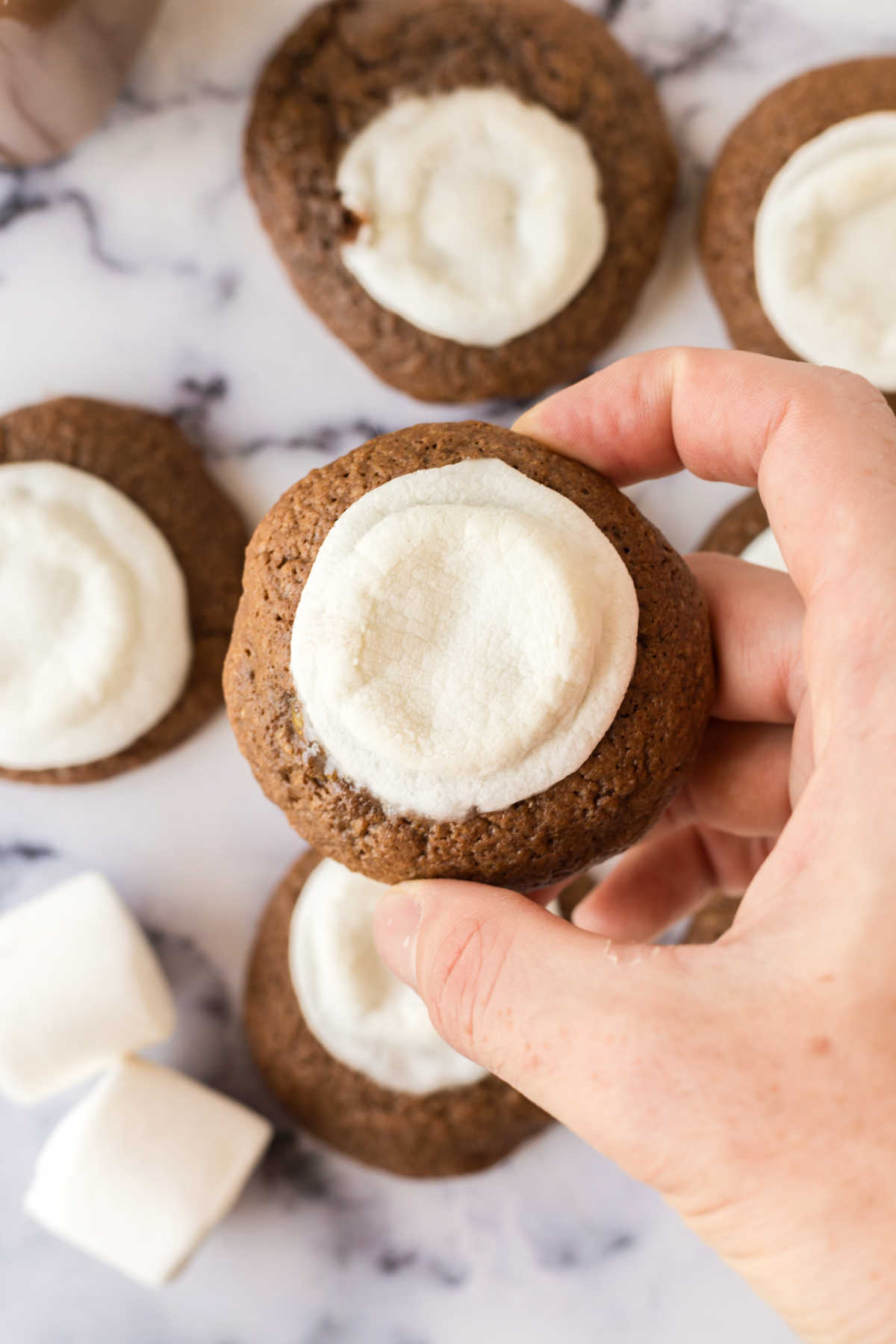 Hand holding hot cocoa cookie with marshmallow baked on top.