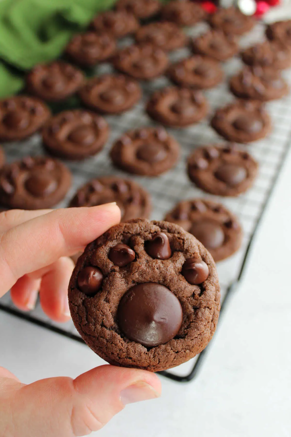 Hand holding cooled chocolate paw print cookie with cooling rack and more cookies in the background. 