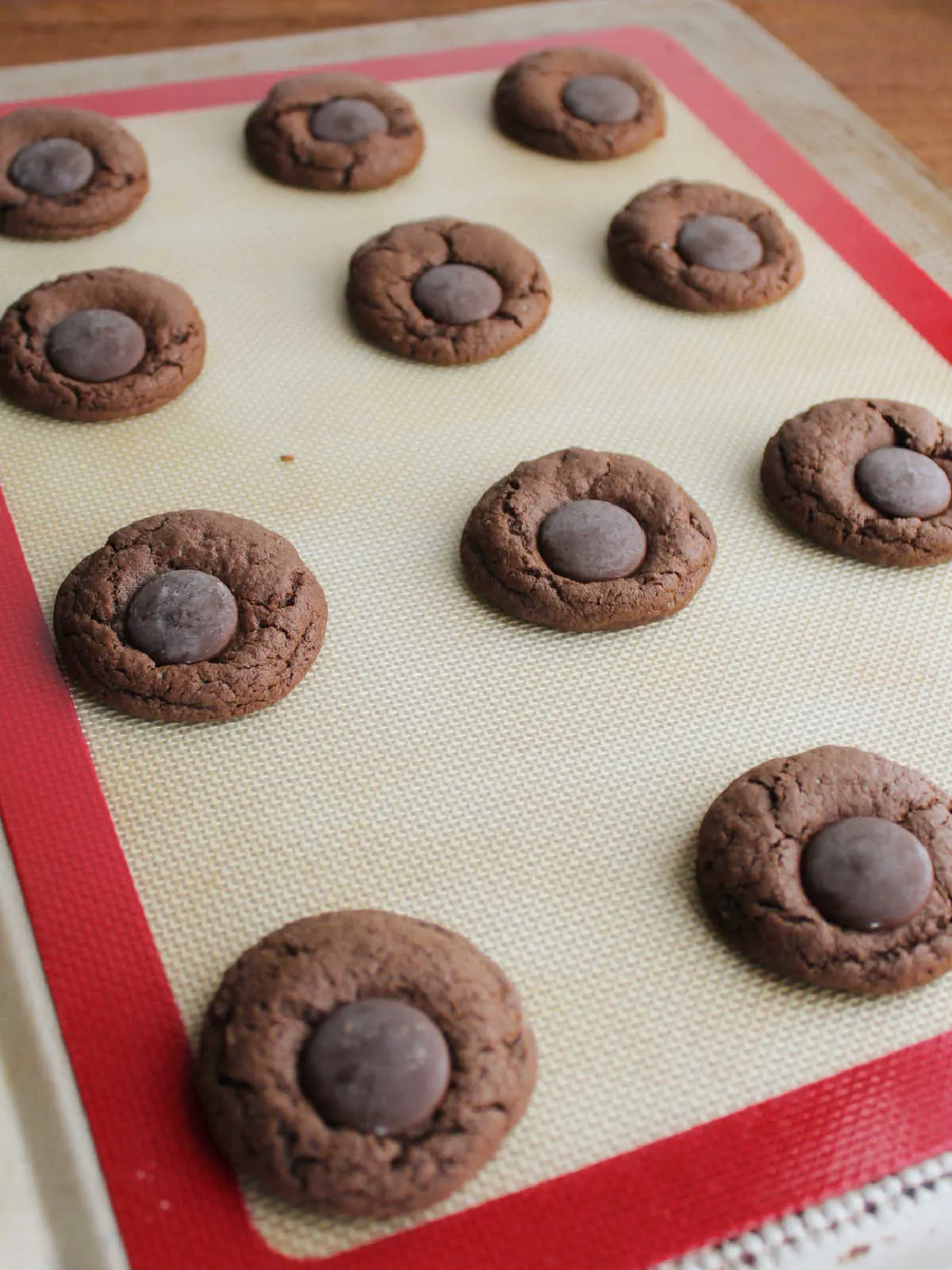 Ghirardelli dark chocolate melting wafer pressed into hot chocolate cookies for the pad of the paw. 