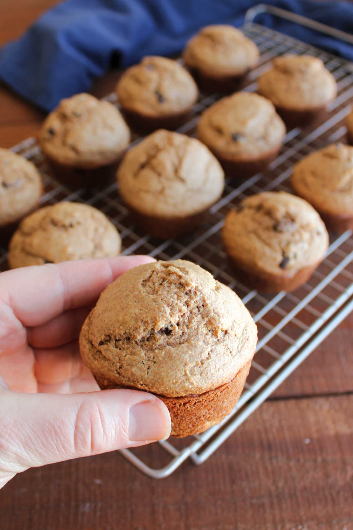Hand holding a homemade bran muffin with a nice tall dome with more freshly baked bran muffins on a cooling rack in the background. 