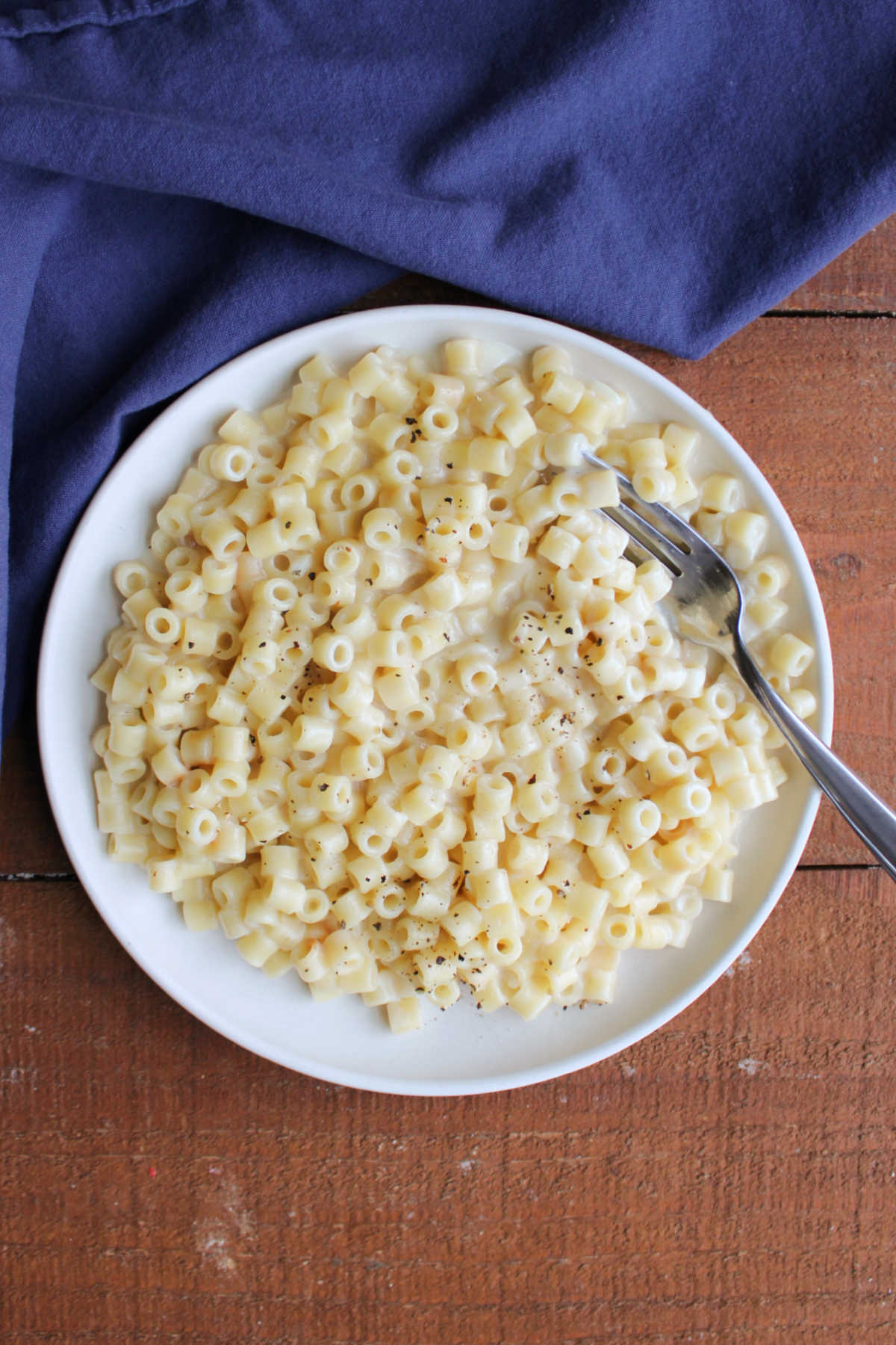 Creamy One Pot Ditalini Pasta With Parmesan Cheese 7 Plate of creamy ditalini pasta with Parmesan cheese sauce, ready to eat.
