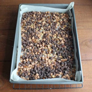 Coconut flakes, pecans, chocolate chips, and butterscotch chips distributed evenly over the graham cracker crust in the pan.