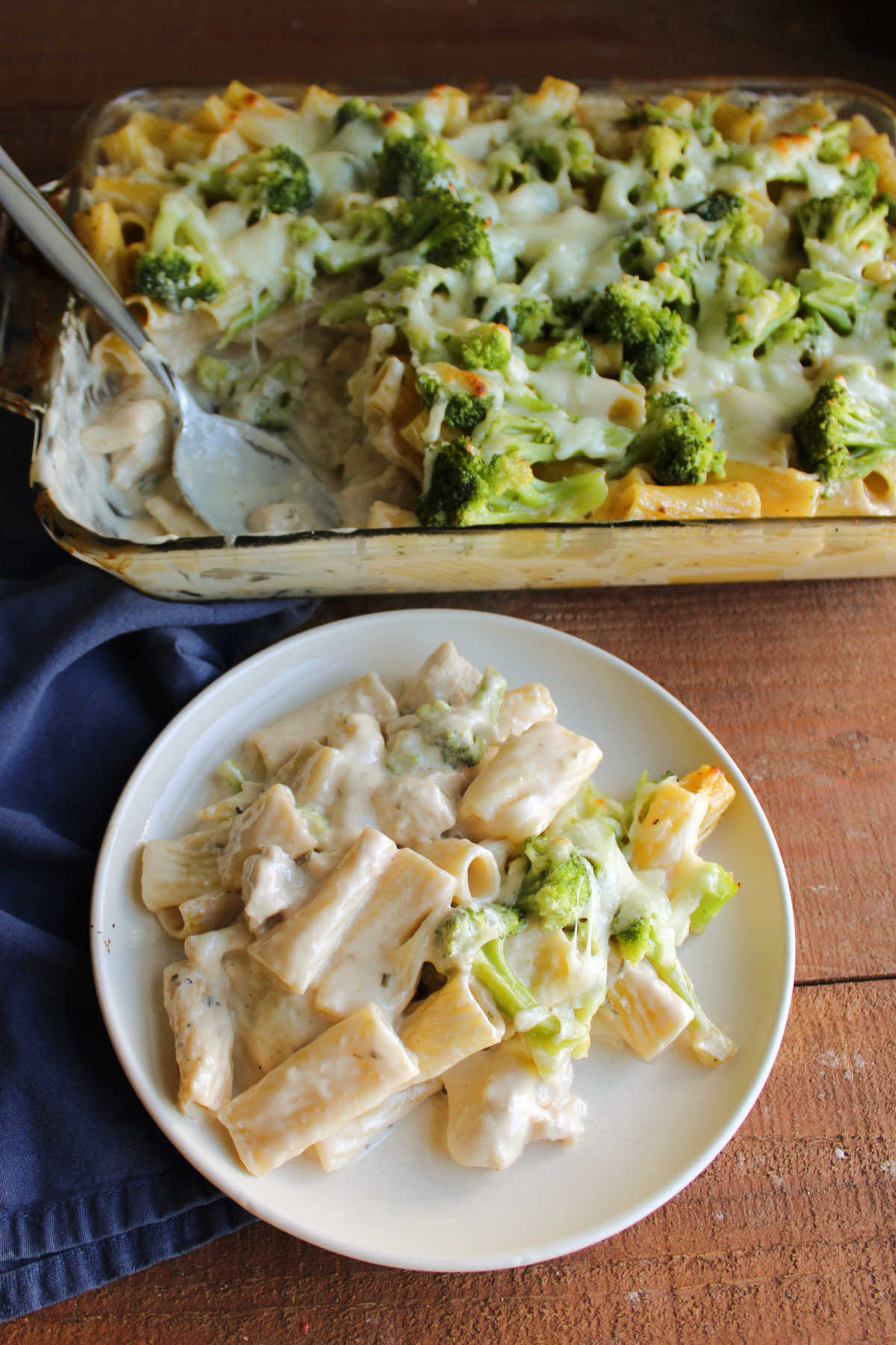 No Boil Chicken Alfredo Bake 7 Serving of rigatoni with alfredo sauce, chicken, broccoli, and melted cheese on dinner plate, ready to eat.