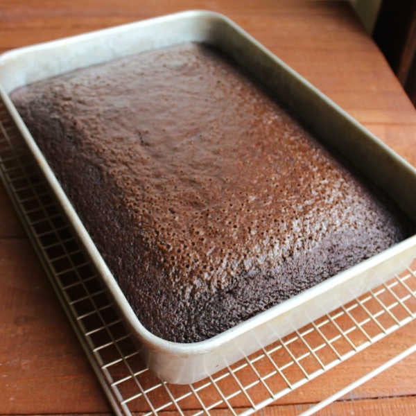Baked chocolate daffy cake in 9x13-inch pan cooling on wire rack.