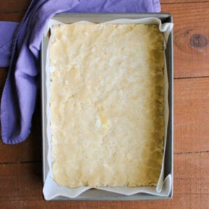 Blackberry Pie Bars 14 Dough pressed into a parchment paper lined 9x13-inch pan.