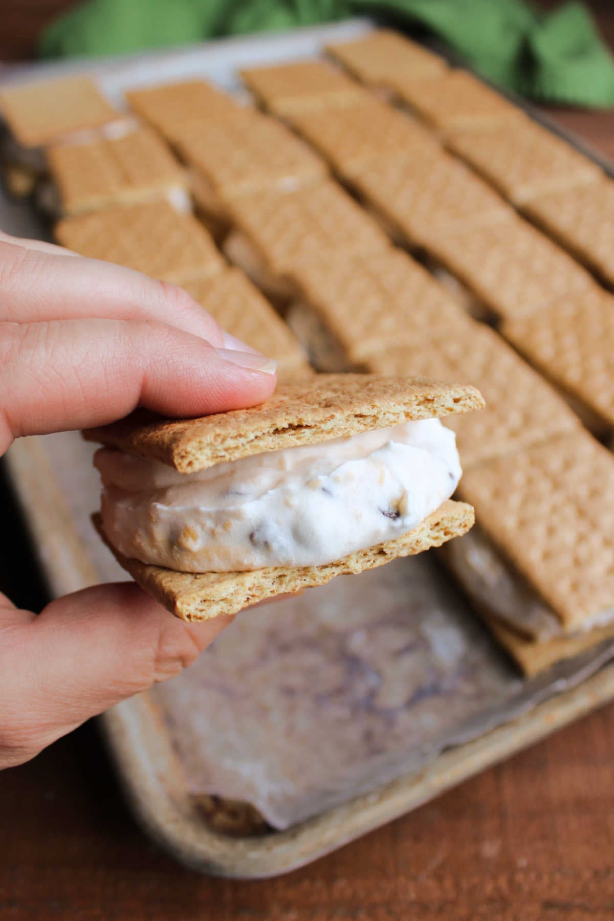 Tray of frozen icebox sandwich cookies with a hand holding one showing a thick layer of pudding and chocolate chip mixture between two graham cracker squares. 