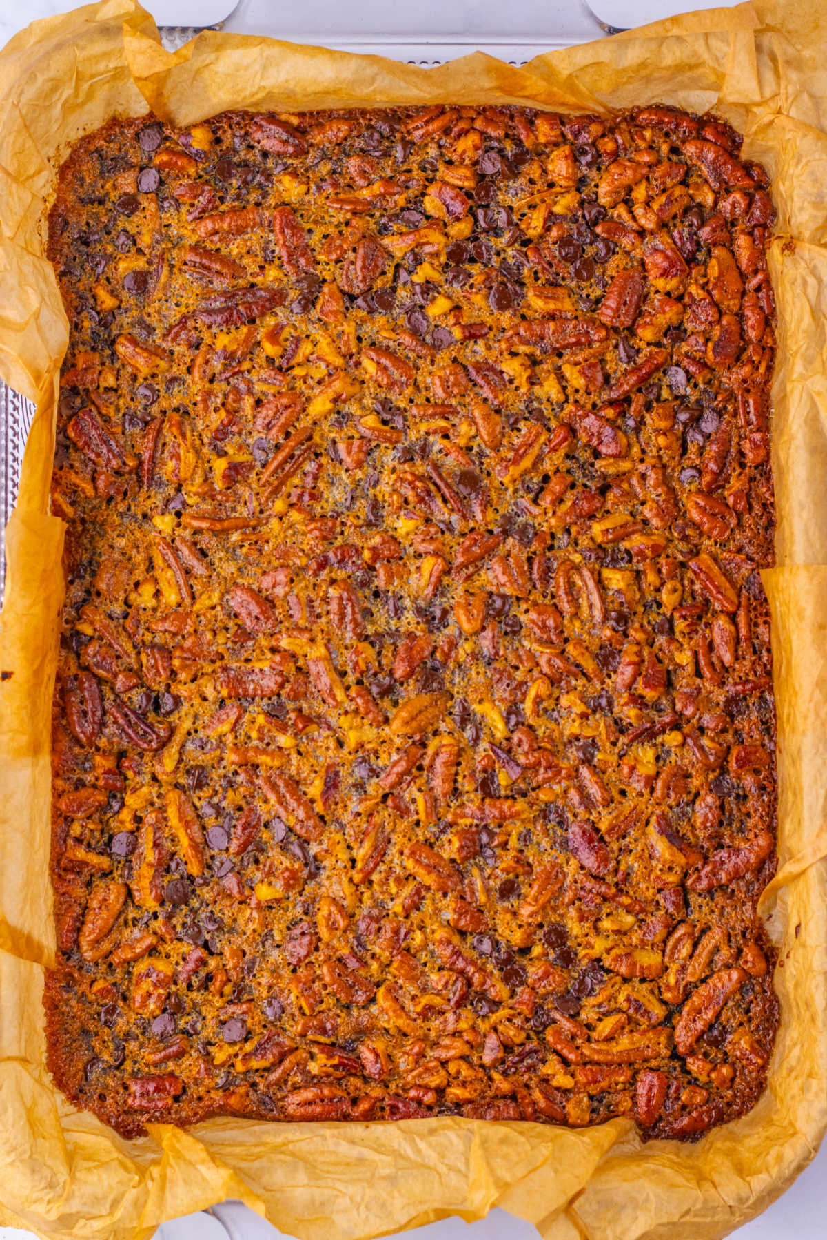 9x13-inch pan lined with parchment paper filled with freshly baked chocolate pecan pie bars showing toasted pecans and dots of chocolate chips on top. 