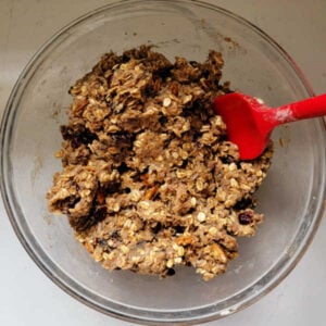 Bowl of chewy trail mix bar dough showing a thick mixture of oats, fruits, and nuts, ready to be pressed into pan.